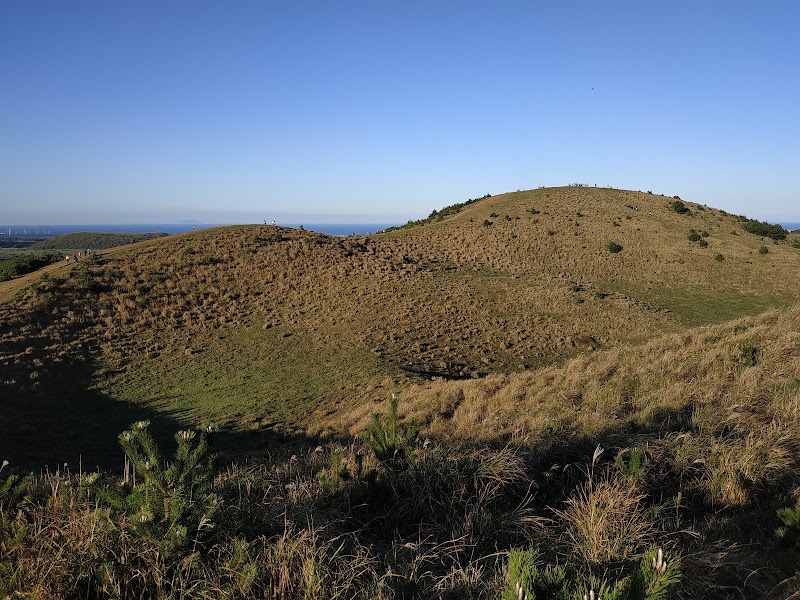 Jeju's Wild Side: Oreum & Coast