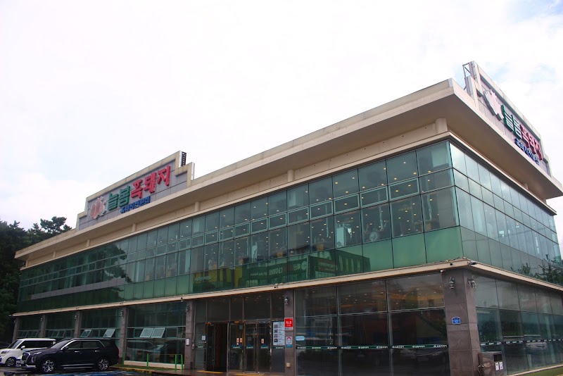 Jeju Black Pork & Local Eats