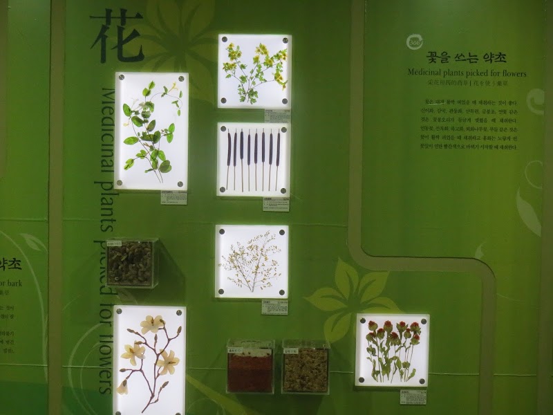 Daegu herbal medicine wholesale market