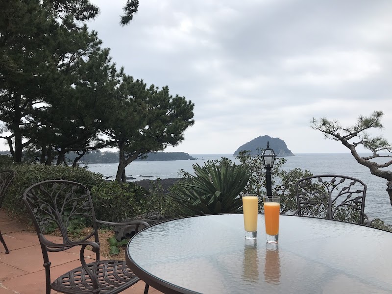 Seogwipo Cafes & Views
