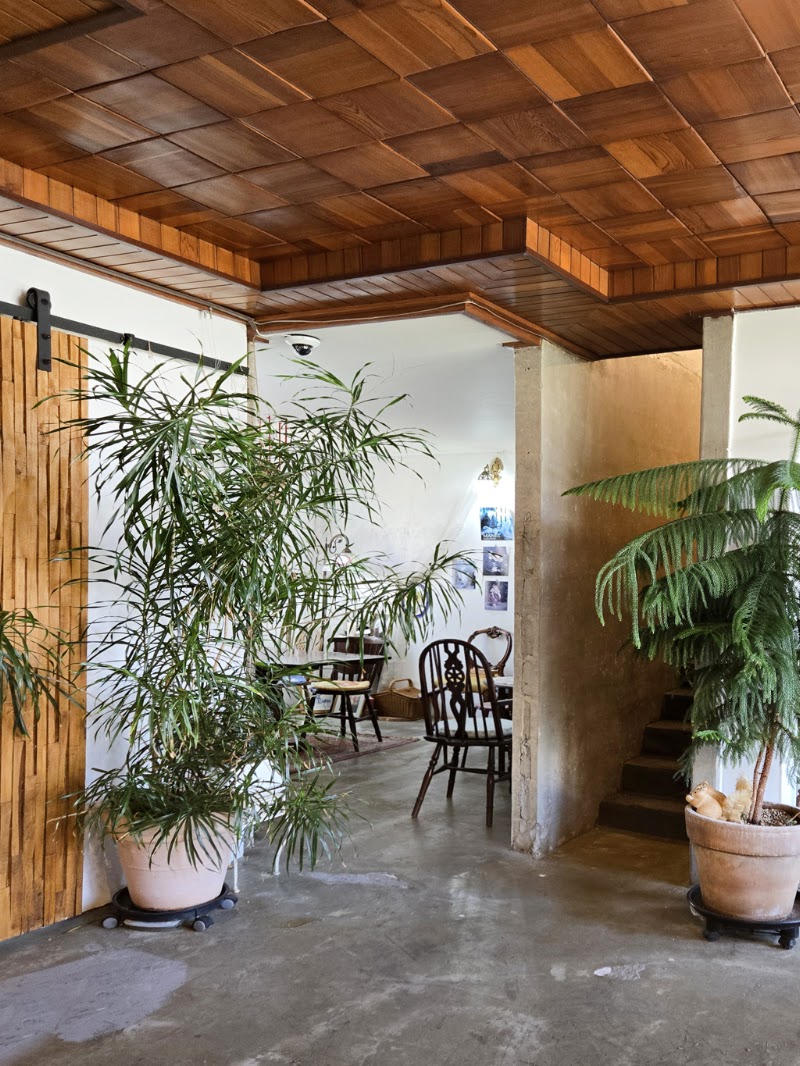 Jeju Fine Cafe