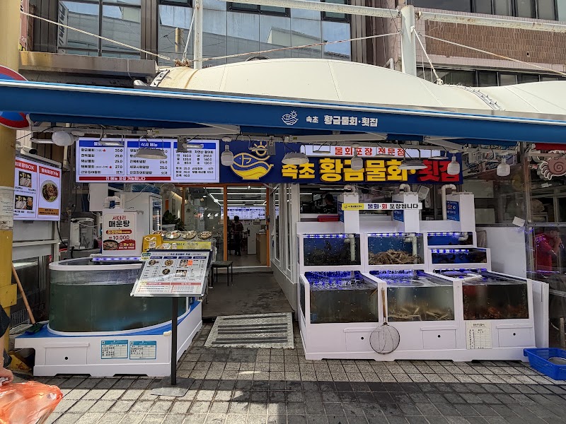속초 황금물회