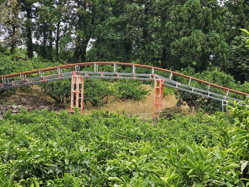 Choenamdan Experience Tangerine Farm