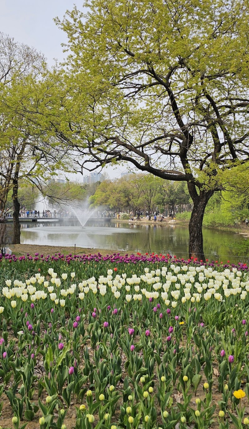 Seoul Forest