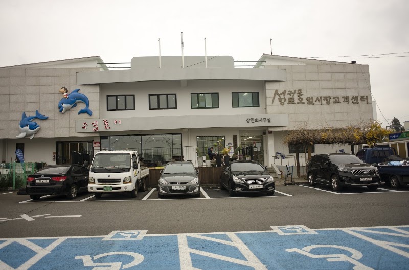 Seogwipo Five-Day Market