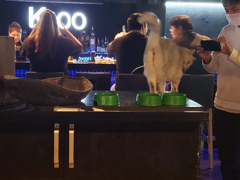 Social bar k100