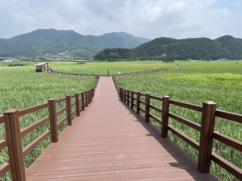 Suncheon Bay & Yeosu Coastline