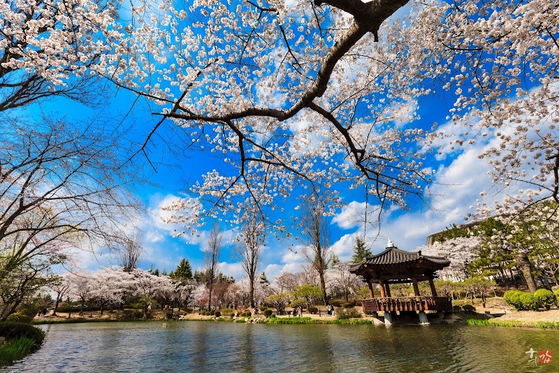 Gyeongju Bomun Lake & Resort